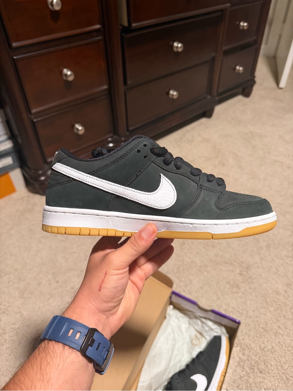 Nike SB Dunk Low Pro